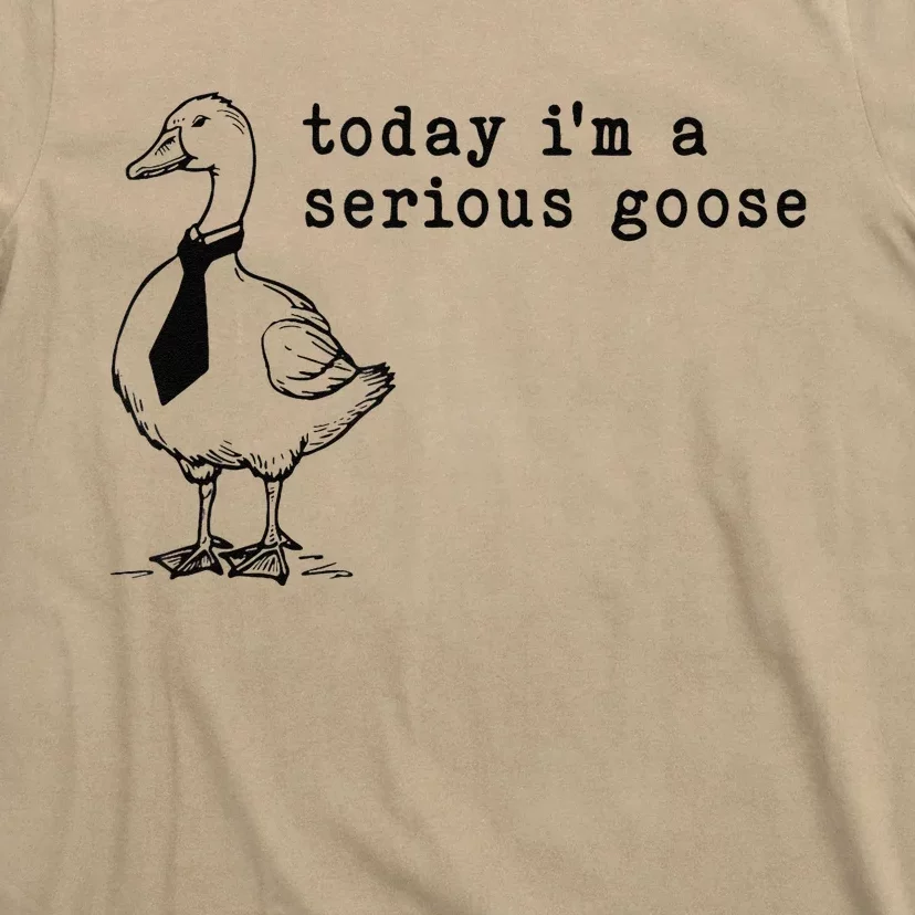 Today IM A Serious Goose Gift T-Shirt