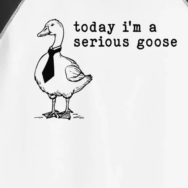 Today IM A Serious Goose Gift Toddler Fine Jersey T-Shirt