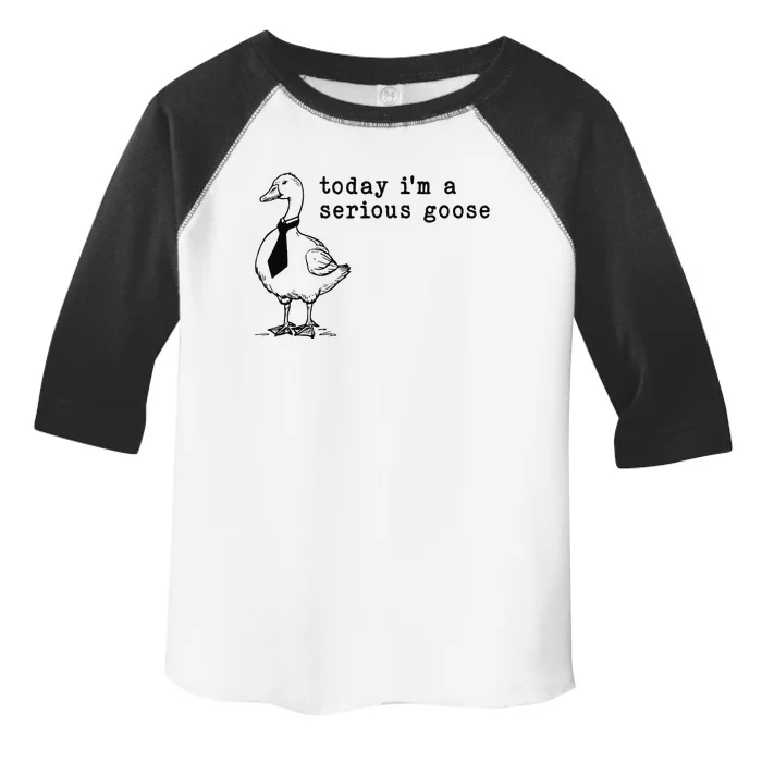 Today IM A Serious Goose Gift Toddler Fine Jersey T-Shirt