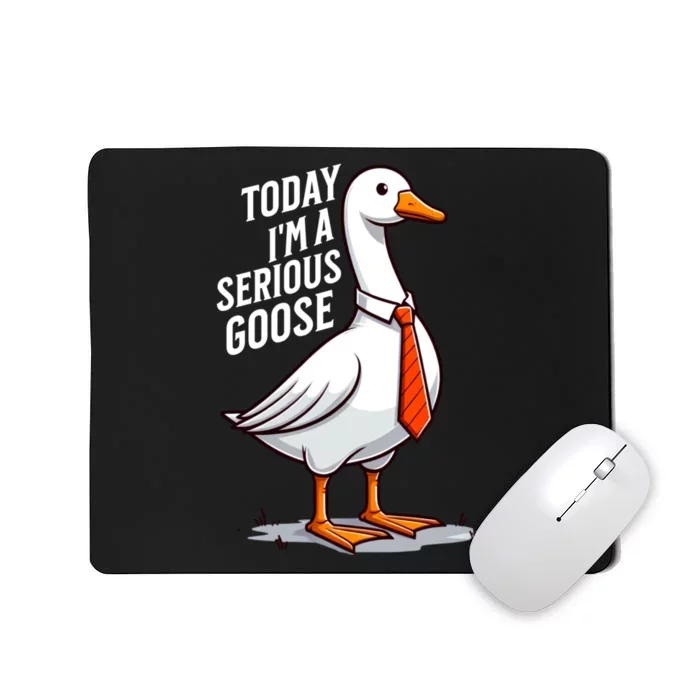 Today IM A Serious Goose Funny Silly Goose Cute Mousepad