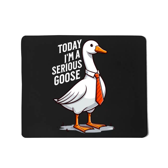 Today IM A Serious Goose Funny Silly Goose Cute Mousepad