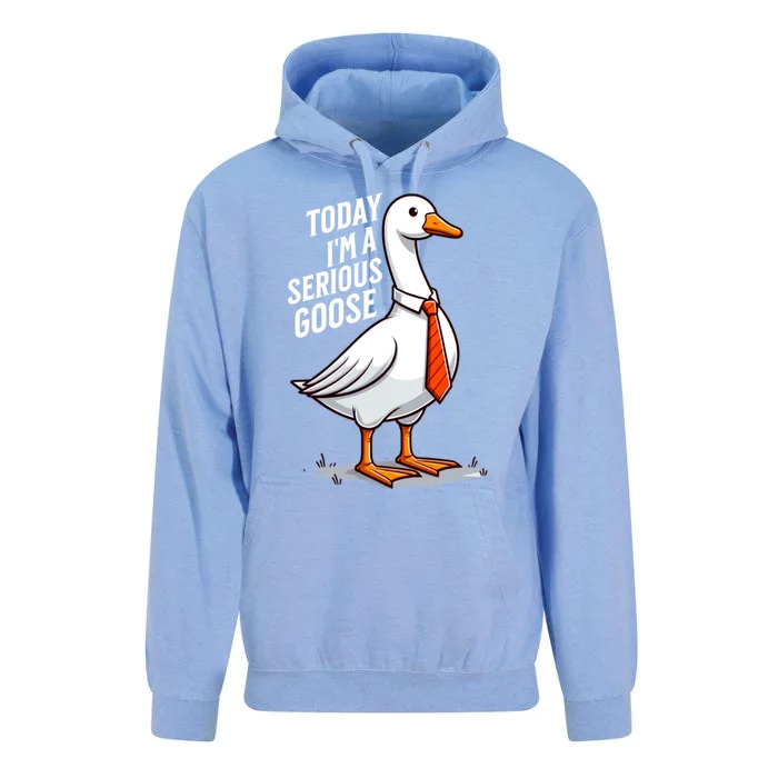 Today IM A Serious Goose Funny Silly Goose Cute Unisex Surf Hoodie