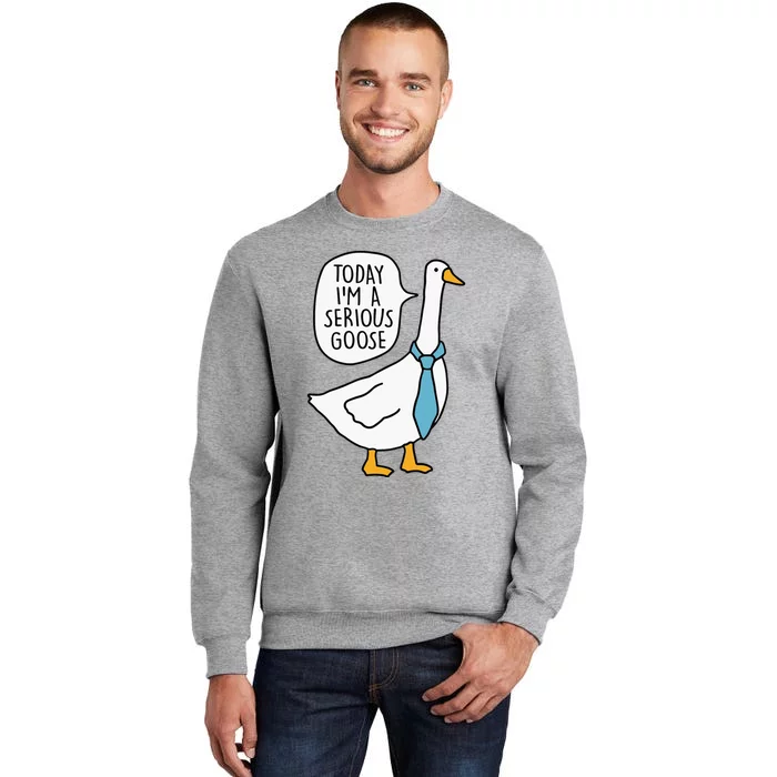 Today IM A Serious Goose Funny Serious Goose Tall Sweatshirt