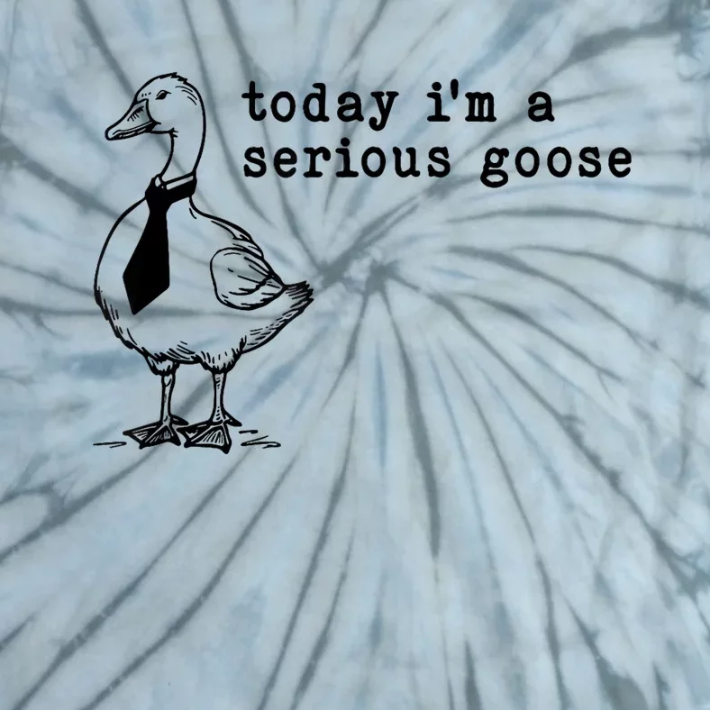 Today IM A Serious Goose Tie-Dye T-Shirt