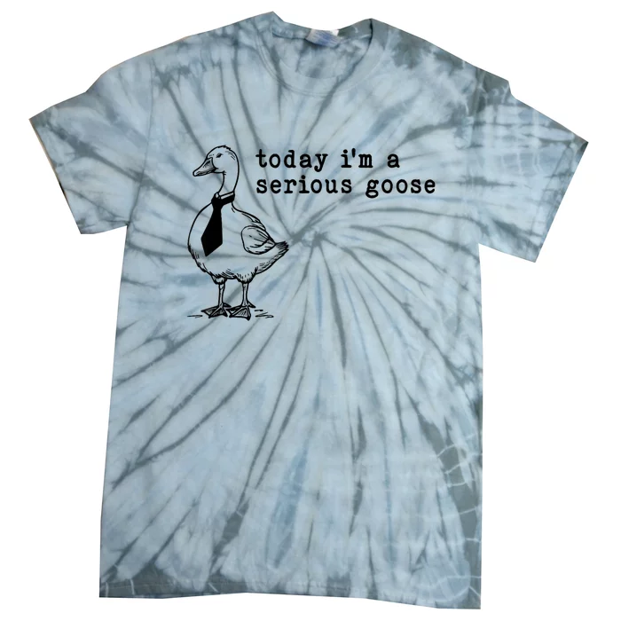 Today IM A Serious Goose Tie-Dye T-Shirt