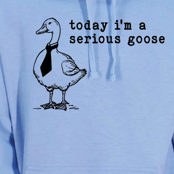 Today IM A Serious Goose Unisex Surf Hoodie