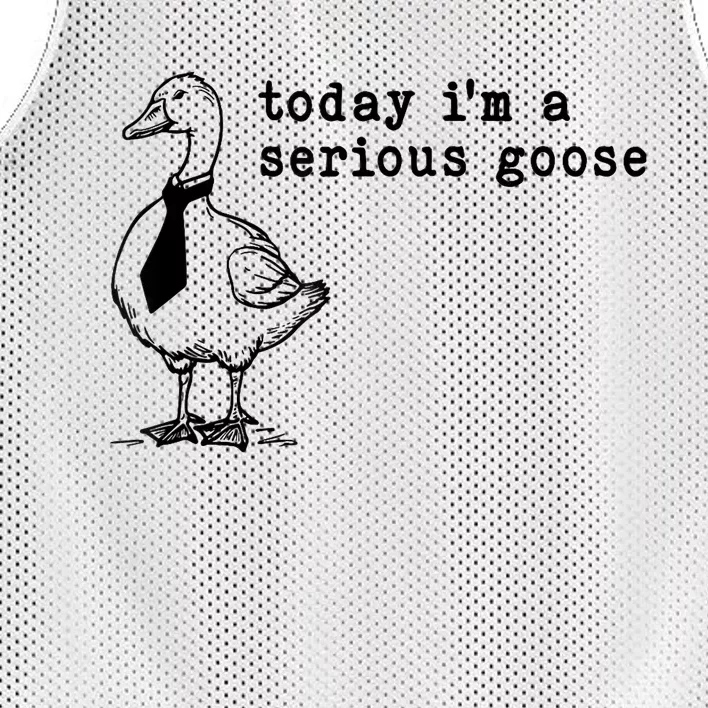 Today IM A Serious Goose Mesh Reversible Basketball Jersey Tank