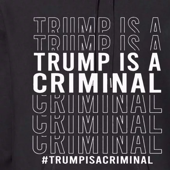 Trump Is A Criminal Trump For Prison Premium Hoodie