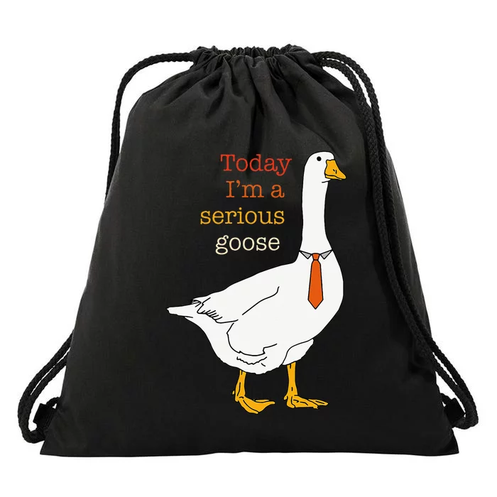 Today IM A Serious Goose Funny Silly Goose Drawstring Bag