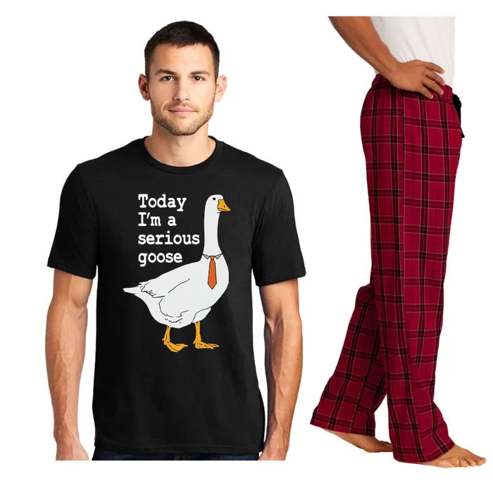 Today Im A Serious Goose Silly Humor Pajama Set