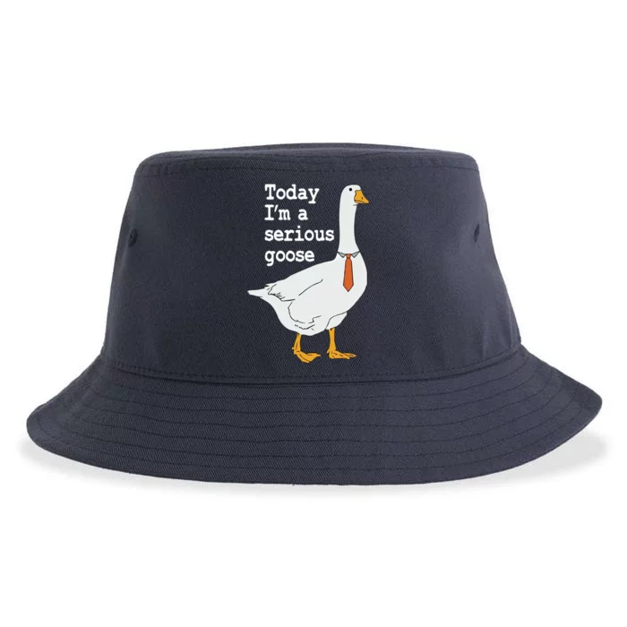 Today Im A Serious Goose Silly Humor Sustainable Bucket Hat