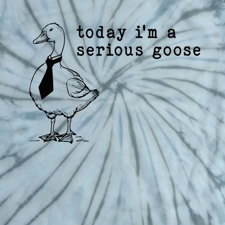 Today IM A Serious Goose Tie-Dye T-Shirt