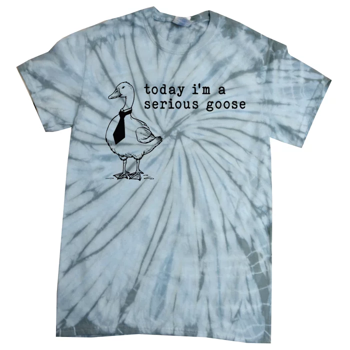 Today IM A Serious Goose Tie-Dye T-Shirt