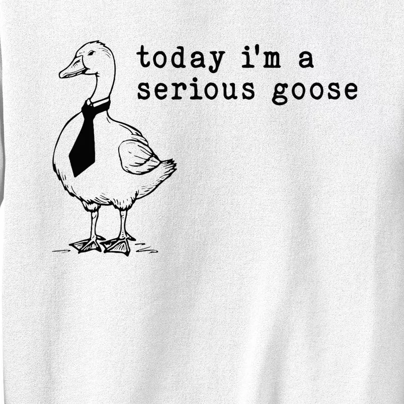 Today IM A Serious Goose Sweatshirt