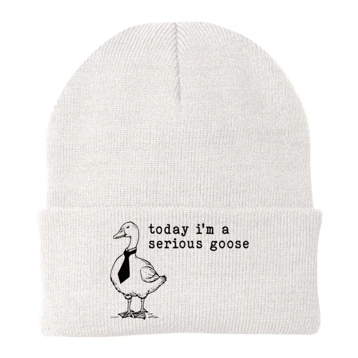 Today IM A Serious Goose Knit Cap Winter Beanie