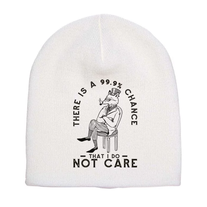 There Is A 99% Chance That I Do Not Care Funny Short Acrylic Beanie