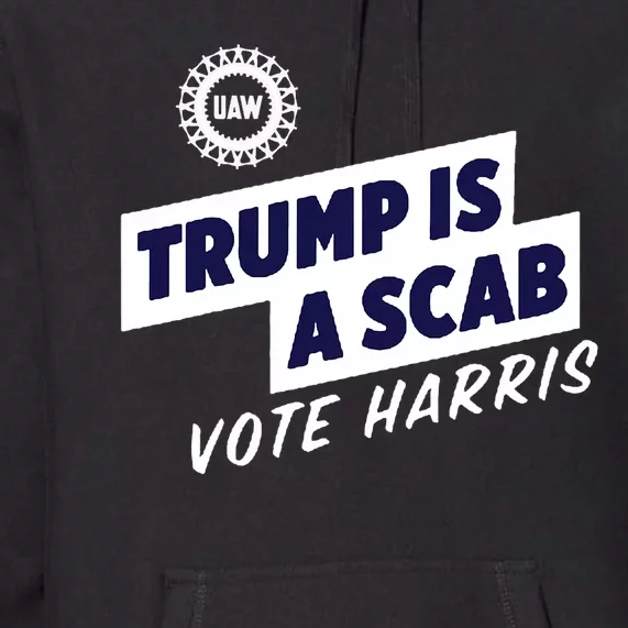 Trump Is A Scab Vote Harris 2024 Premium Hoodie