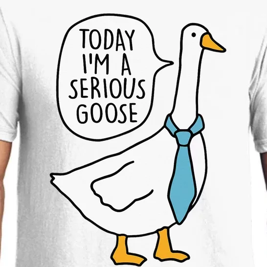 Today IM A Serious Goose Pajama Set