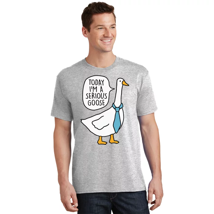 Today IM A Serious Goose Funny Silly Goose T-Shirt