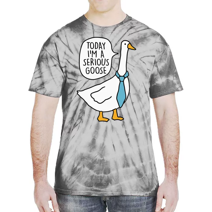 Today IM A Serious Goose Funny Silly Goose Tie-Dye T-Shirt