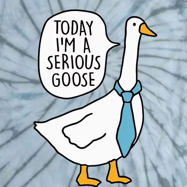 Today IM A Serious Goose Funny Silly Goose Tie-Dye T-Shirt