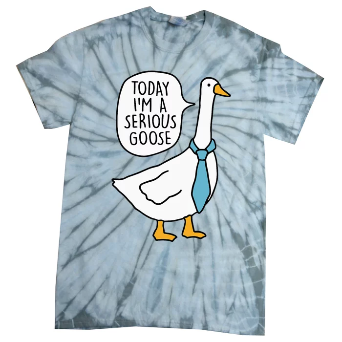 Today IM A Serious Goose Funny Silly Goose Tie-Dye T-Shirt