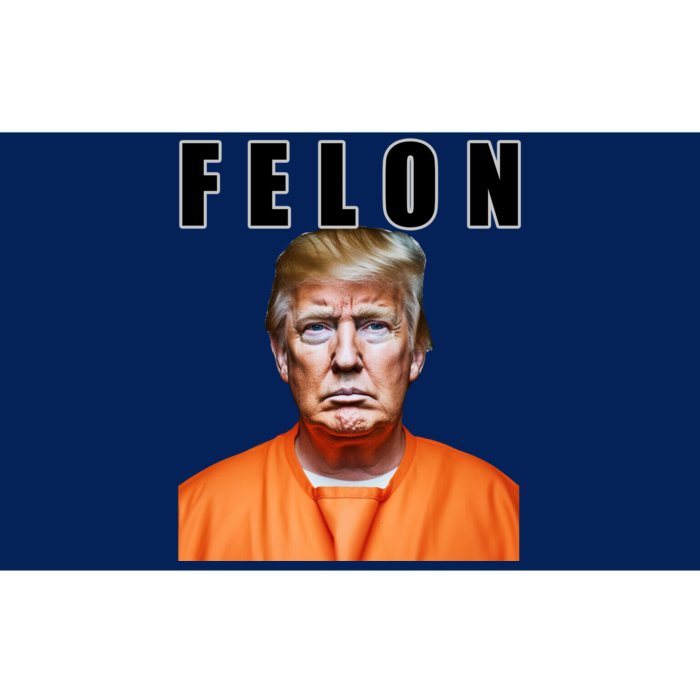 Trump Is A Felon Bumper Sticker