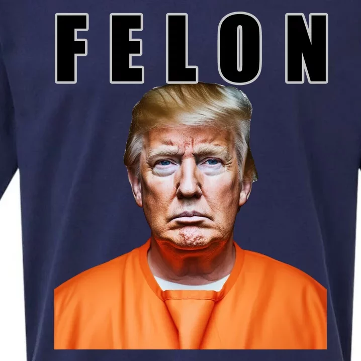 Trump Is A Felon Sueded Cloud Jersey T-Shirt