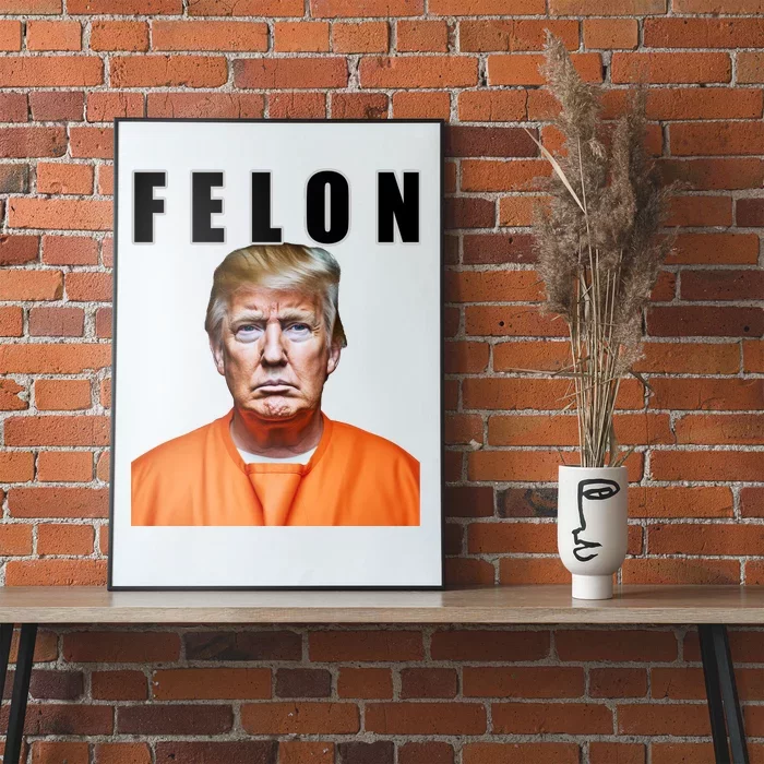 Trump Is A Felon Poster