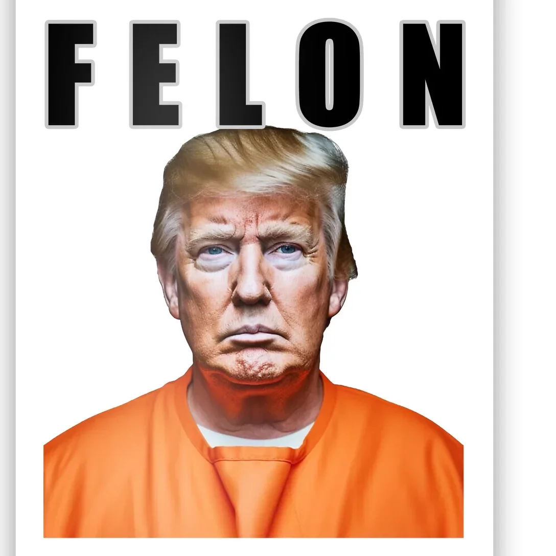 Trump Is A Felon Poster