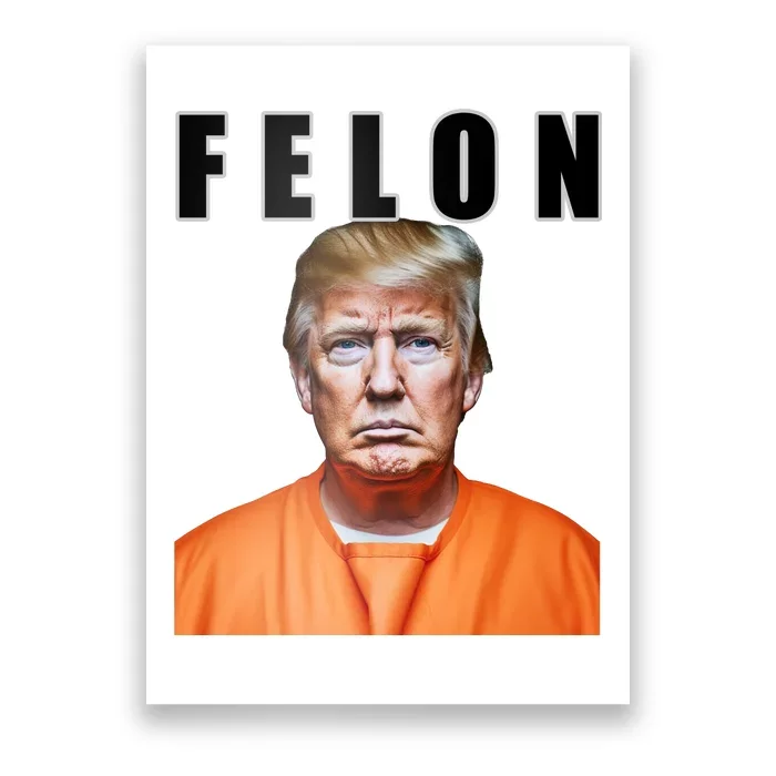 Trump Is A Felon Poster