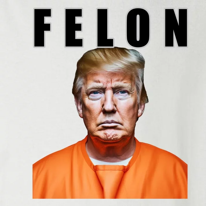 Trump Is A Felon Toddler Long Sleeve Shirt