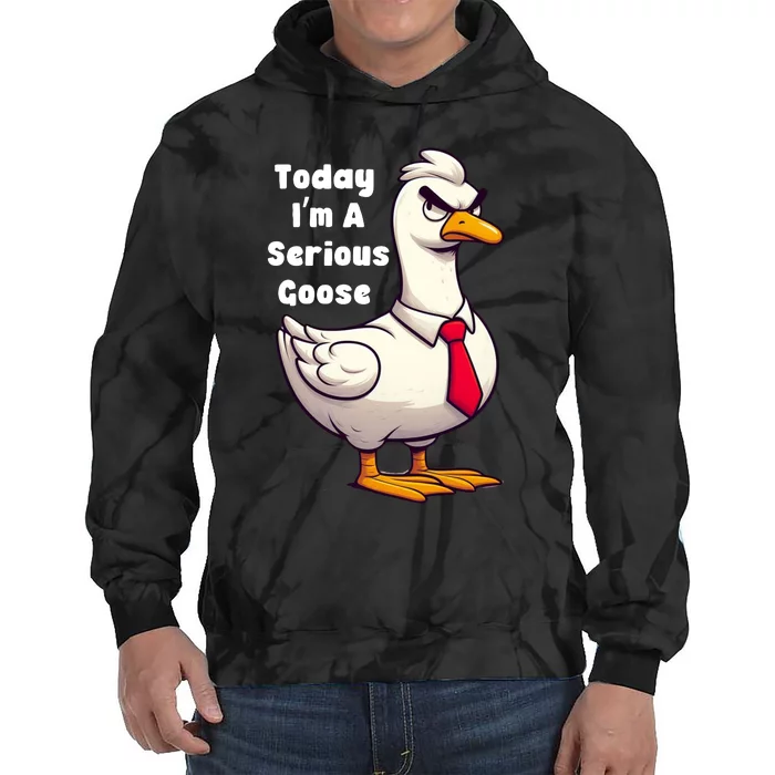 Today I Am A Serious Goose Funny Oddly Specific Dank Meme Tie Dye Hoodie