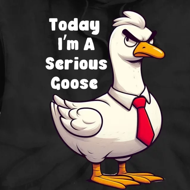 Today I Am A Serious Goose Funny Oddly Specific Dank Meme Tie Dye Hoodie