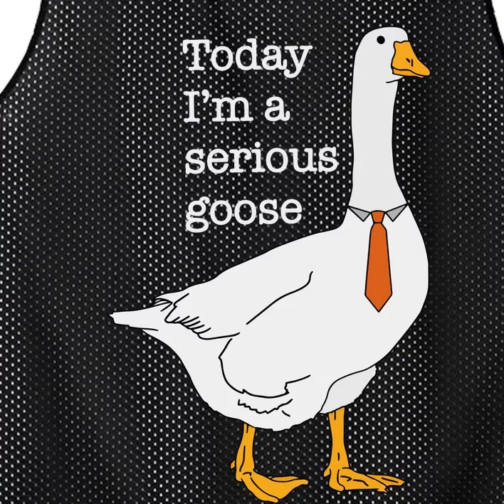 Today IM A Serious Goose Silly Goose Mesh Reversible Basketball Jersey Tank