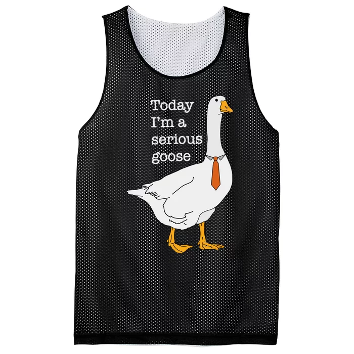 Today IM A Serious Goose Silly Goose Mesh Reversible Basketball Jersey Tank