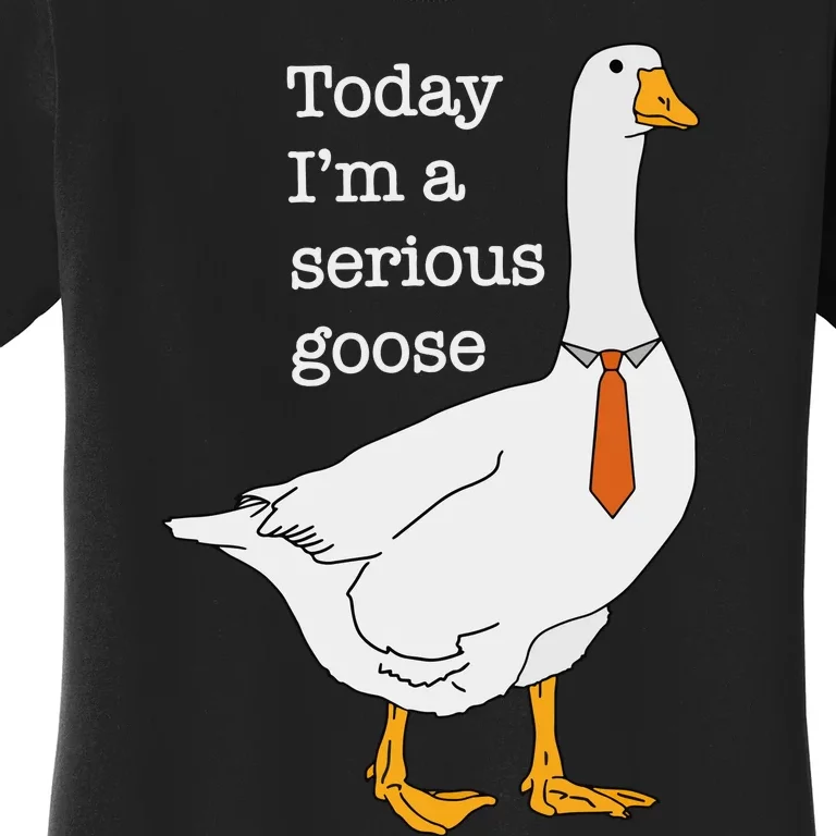 Today IM A Serious Goose Silly Goose Women's T-Shirt