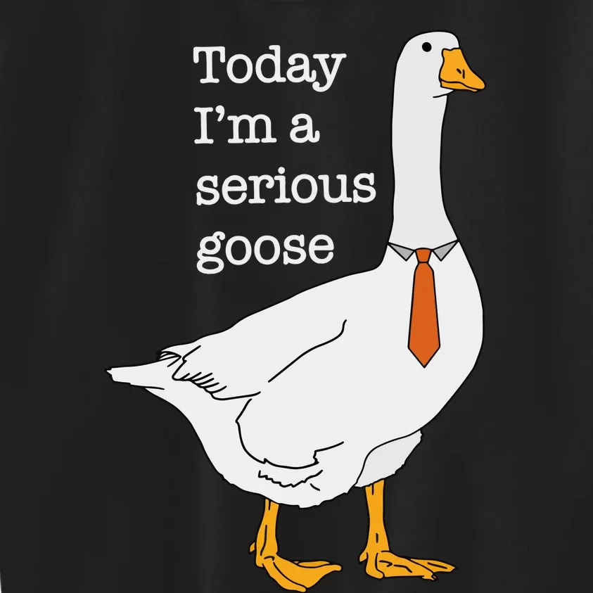 Today IM A Serious Goose Silly Goose Kids Sweatshirt