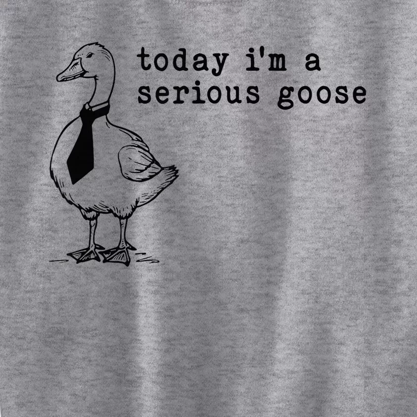 Today IM A Serious Goose Kids Sweatshirt