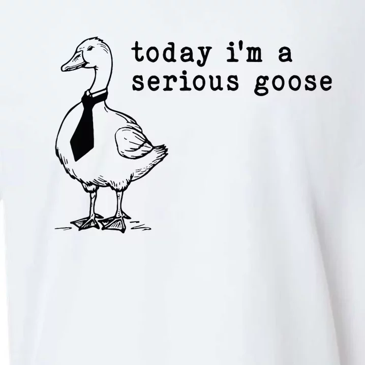 Today IM A Serious Goose Sueded Cloud Jersey T-Shirt