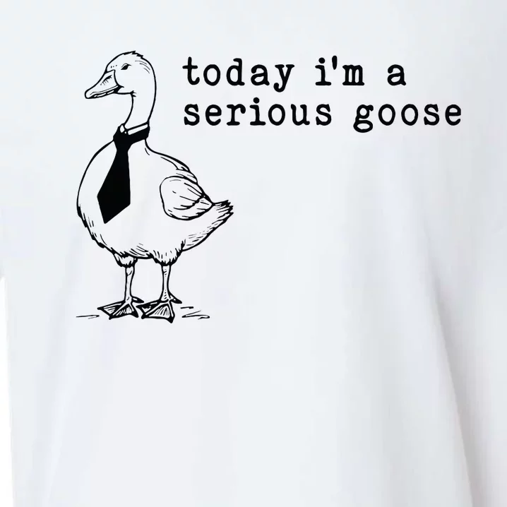 Today IM A Serious Goose Sueded Cloud Jersey T-Shirt