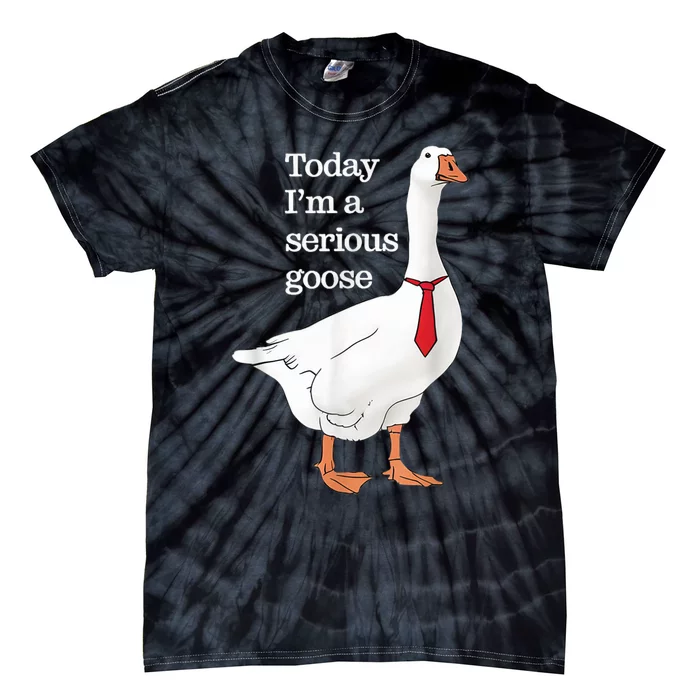 Today I Am A Serious Goose Funny Oddly Specific Dank Meme Tie-Dye T-Shirt