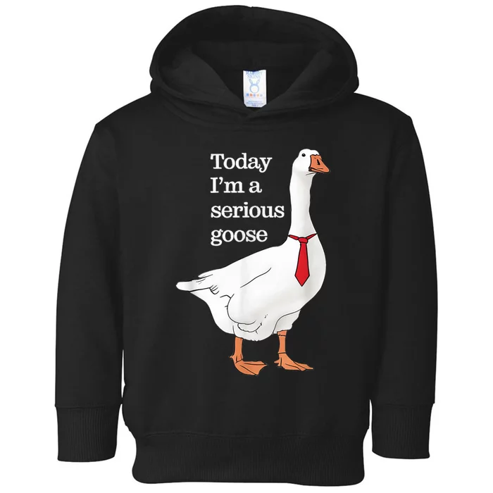 Today I Am A Serious Goose Funny Oddly Specific Dank Meme Toddler Hoodie