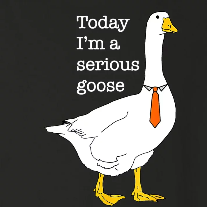 Today IM A Serious Goose Silly Goose Cute Funny Toddler Long Sleeve Shirt