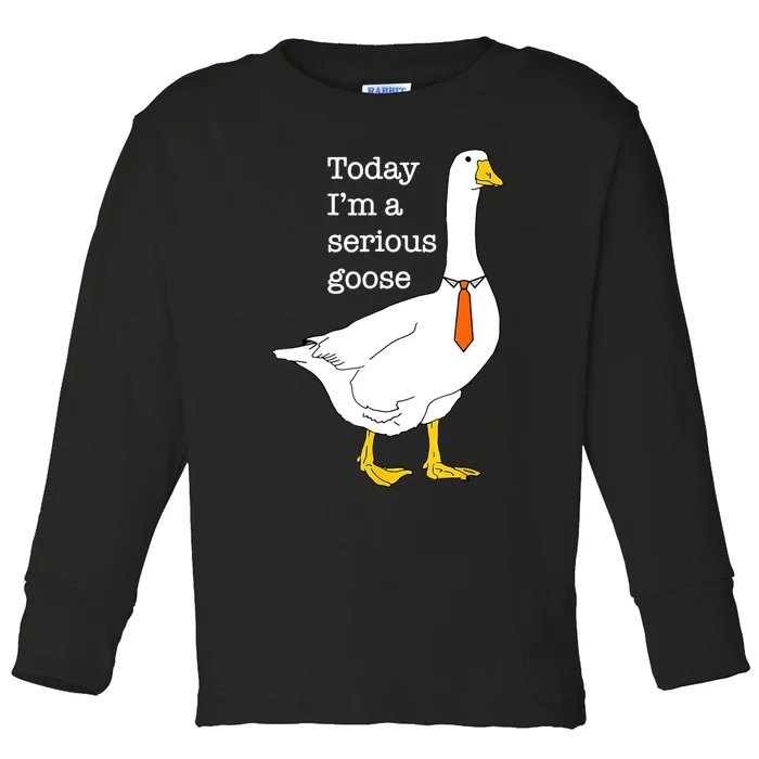 Today IM A Serious Goose Silly Goose Cute Funny Toddler Long Sleeve Shirt