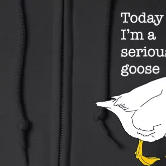 Today IM A Serious Goose Silly Goose Cute Funny Full Zip Hoodie