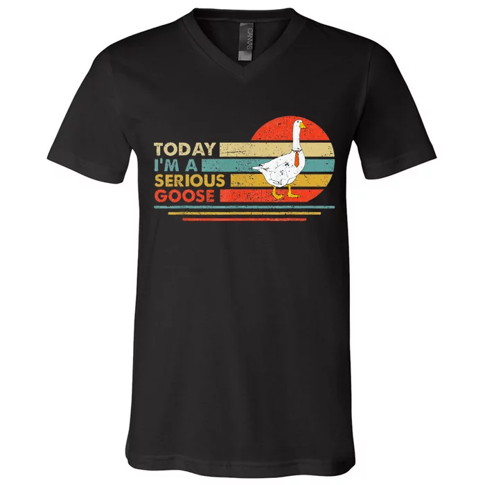 Today Im A Serious Goose Vintage Sunset V-Neck T-Shirt