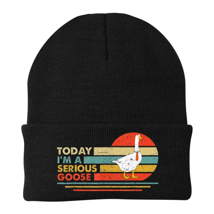 Today Im A Serious Goose Vintage Sunset Knit Cap Winter Beanie