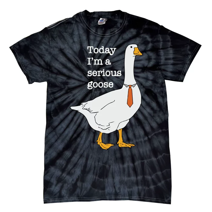 Today Im A Serious Goose Silly Goose Tie-Dye T-Shirt