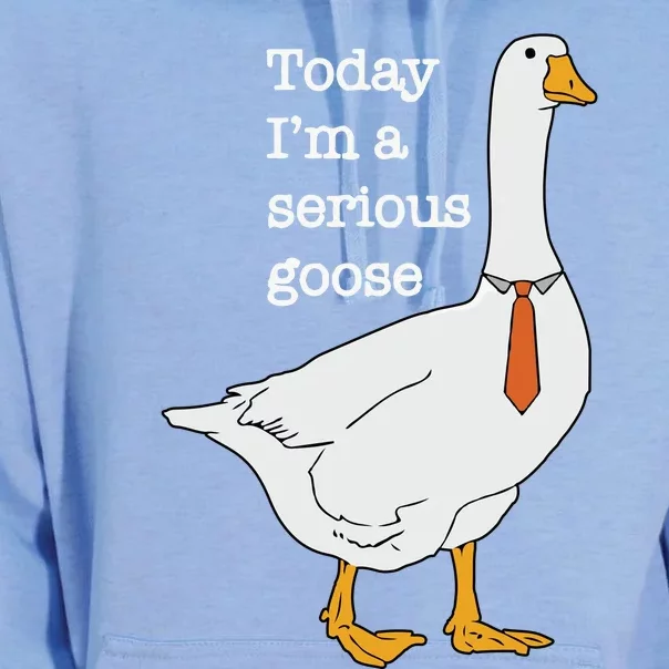 Today Im A Serious Goose Silly Goose Unisex Surf Hoodie